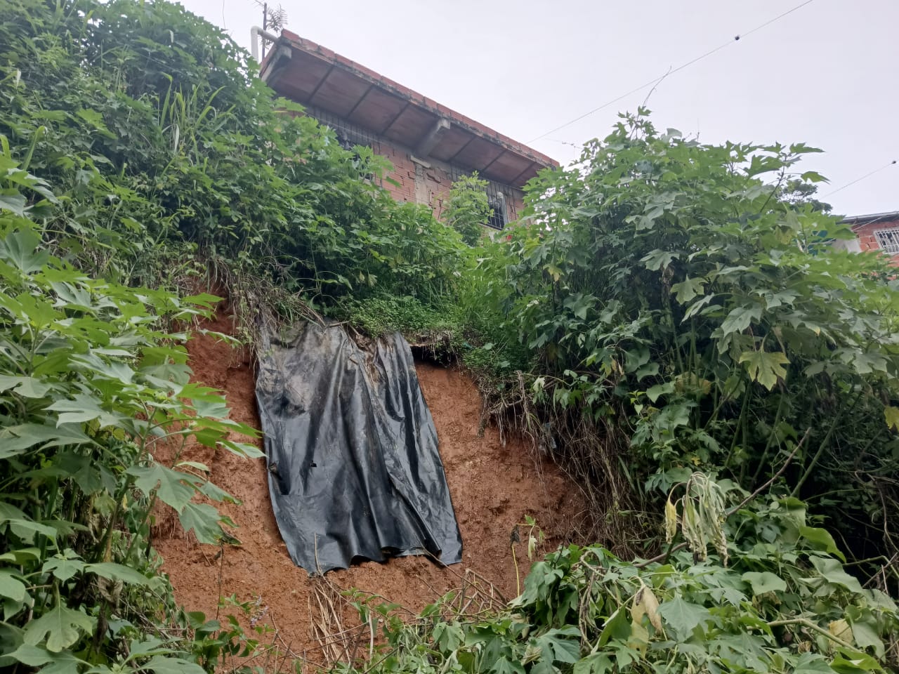 Seis casas de El Rincón podrían caer a la vía de Lagunetica