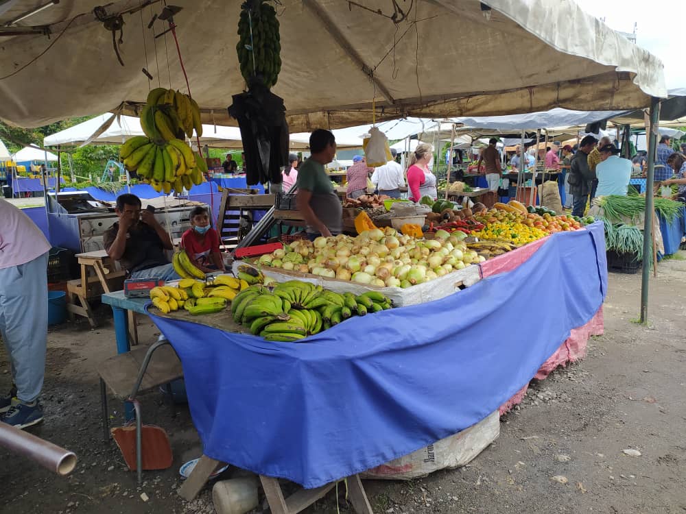 “El tramitar un permiso para trasladar verduras y frutas nos limita considerablemente”