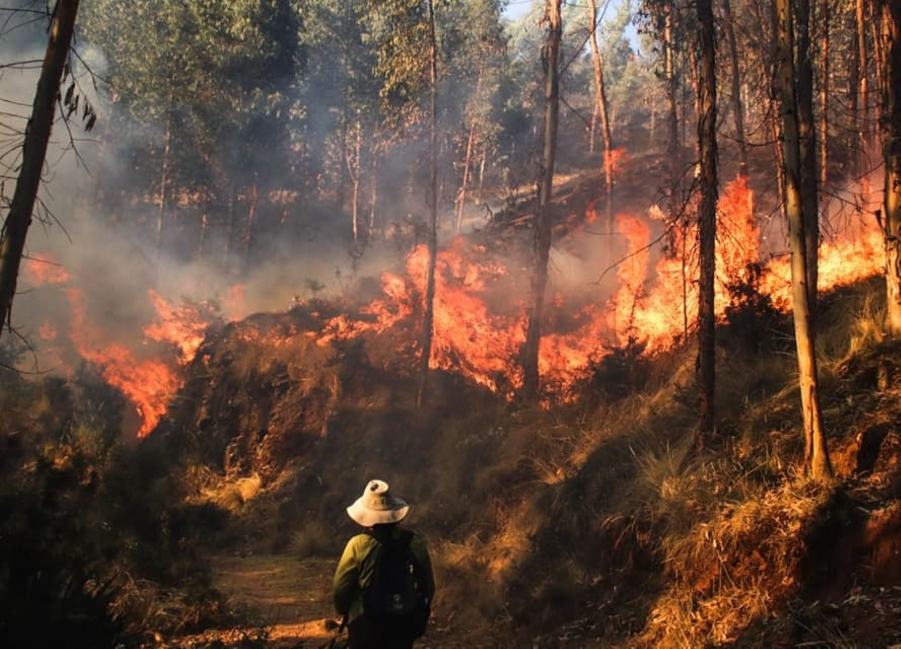 Aumentan a cinco los muertos por incendio forestal en Perú