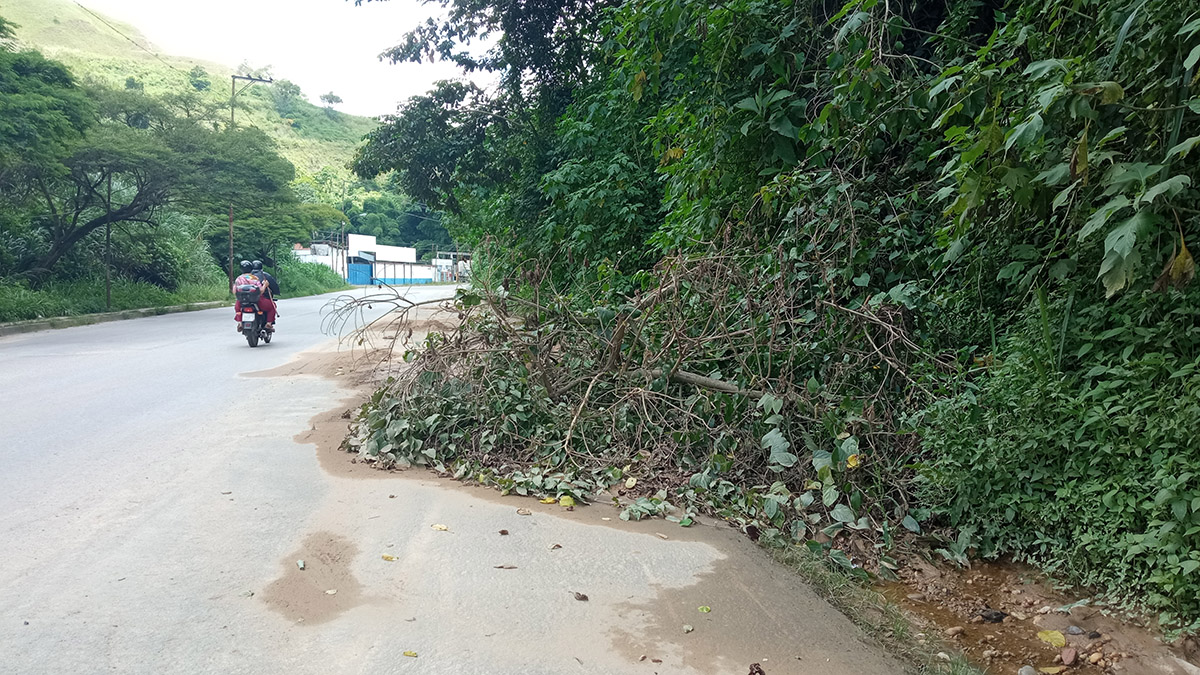 Ramas de árboles caídas en vía generan peligro