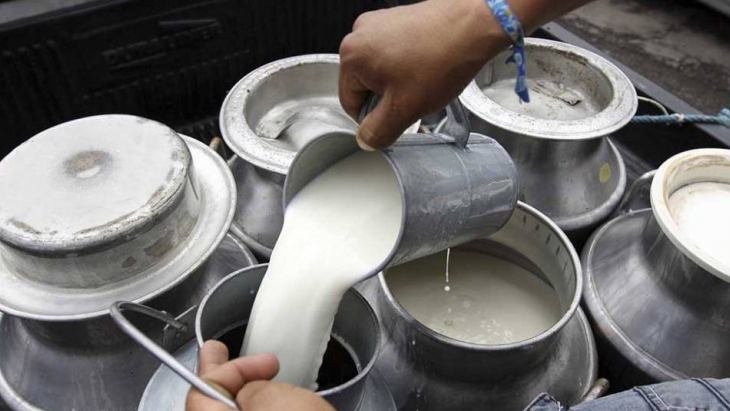 Producción de leche y carne disminuyó 30% por cortes eléctricos en los Llanos