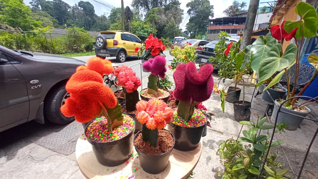 Flores y artesanías para encantar a visitantes