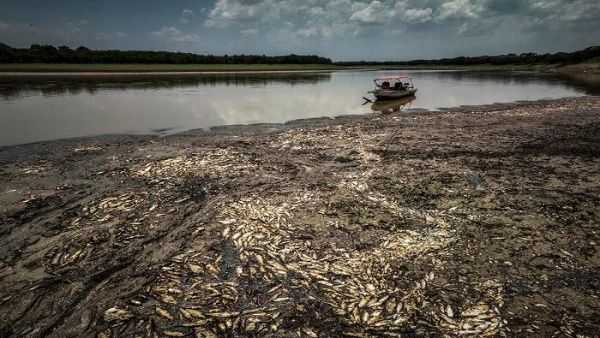 Brasil enfrenta severa crisis climática con negativo impacto