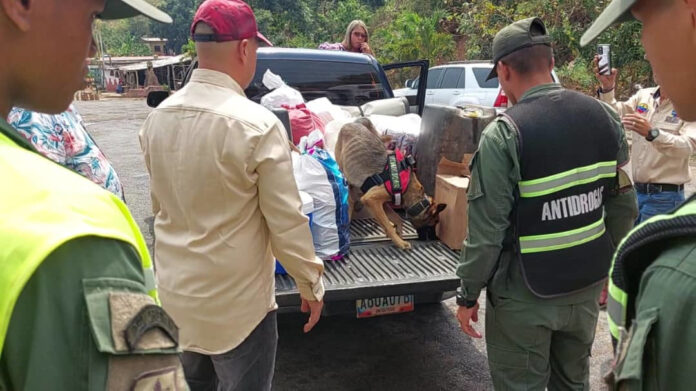 Incautaron En Ocho Meses 25 Toneladas De Drogas Diario Avance 