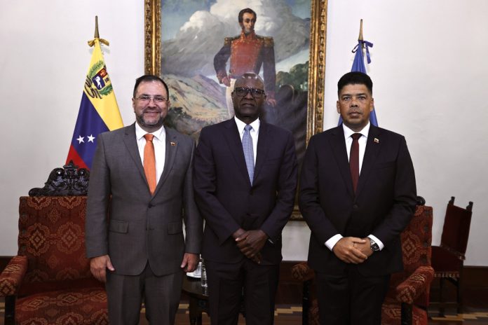 Venezuela y Namibia revisan acuerdos de cooperación política y económica