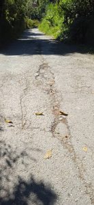 1017b15c-080d-4e29-94bc-1ce21d23e751