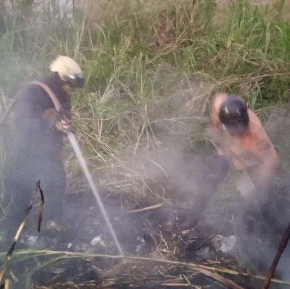 Autoridades reportan tres incendios forestales en Carrizal en 18 horas