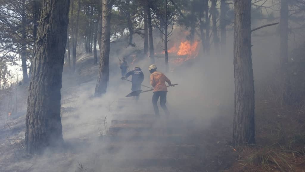 Nueve incendios forestales atendidos por PC Carrizal en enero
