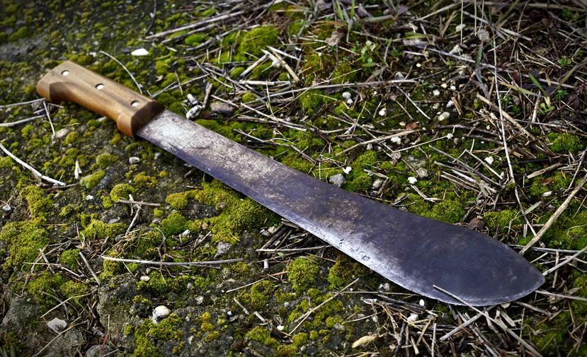Tras las rejas hombre que mató a dos sexagenarias