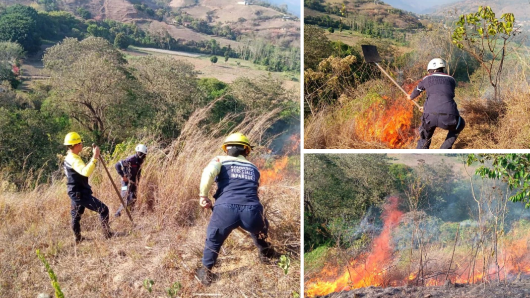 Autoridades afirman que incendios en Trujillo son generados por la quema agrícola