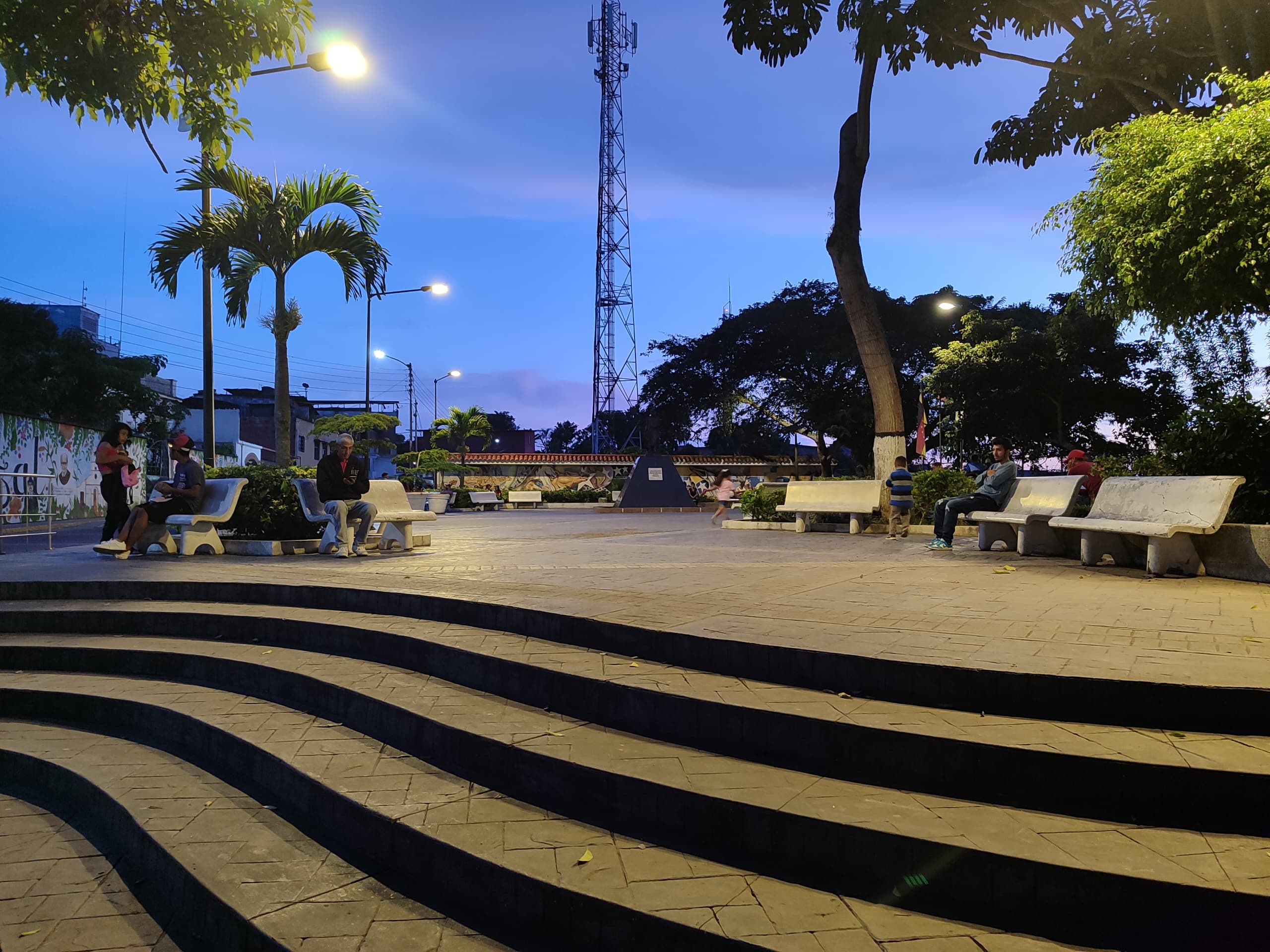 Concejales denuncian ola de robos en Carrizal