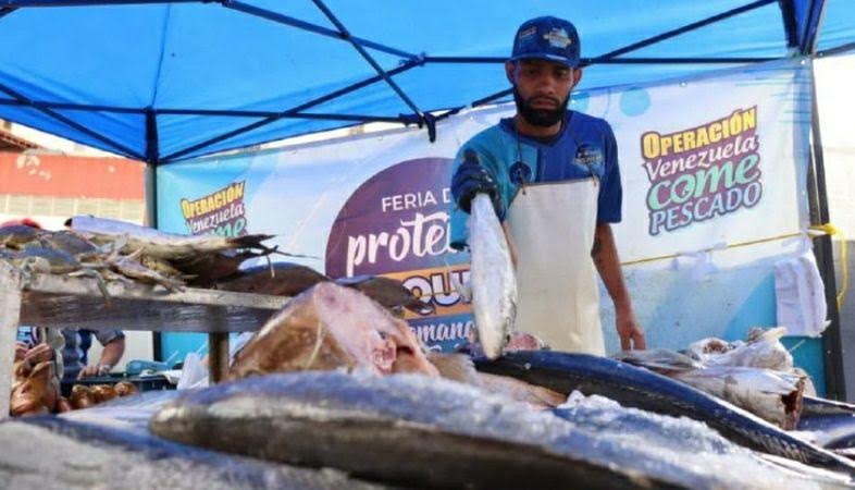 Habilitarán 300 puntos de venta de pescado en Miranda