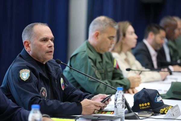 Ceballos: Cuerpos de seguridad cuentan con 179 mil funcionarios