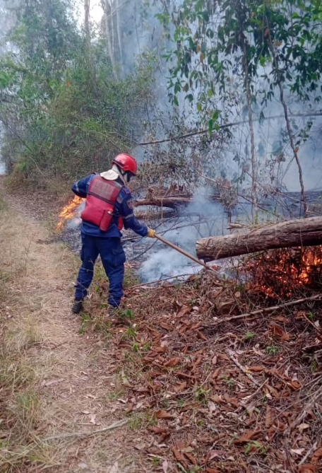 Más de 660 incendios forestales se han registrado en Miranda