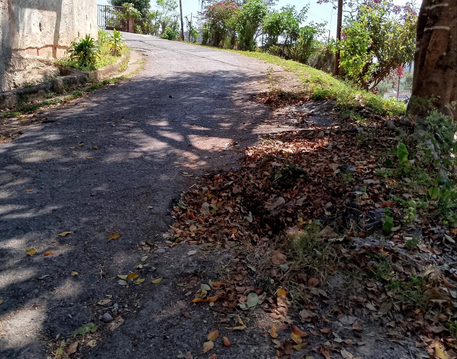 Alertan sobre falla de borde en calle La Coromoto