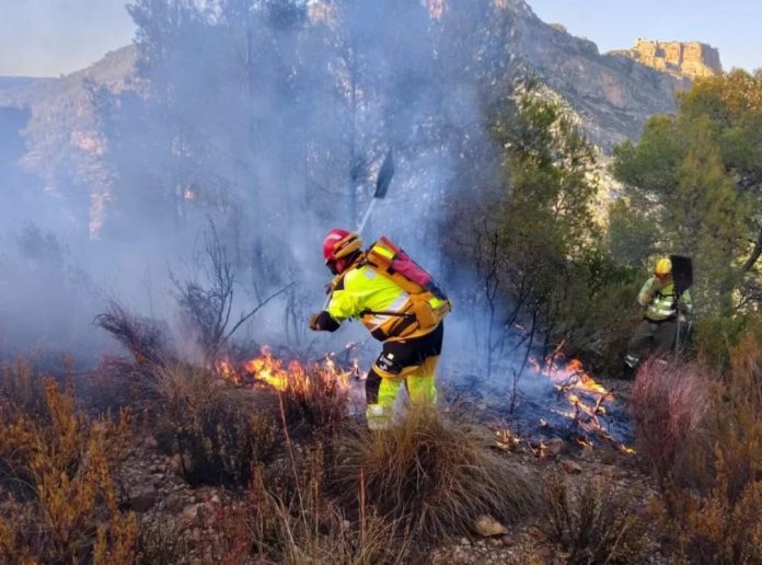 Inparques pidió no atacar a los animales que huyen de los incendios