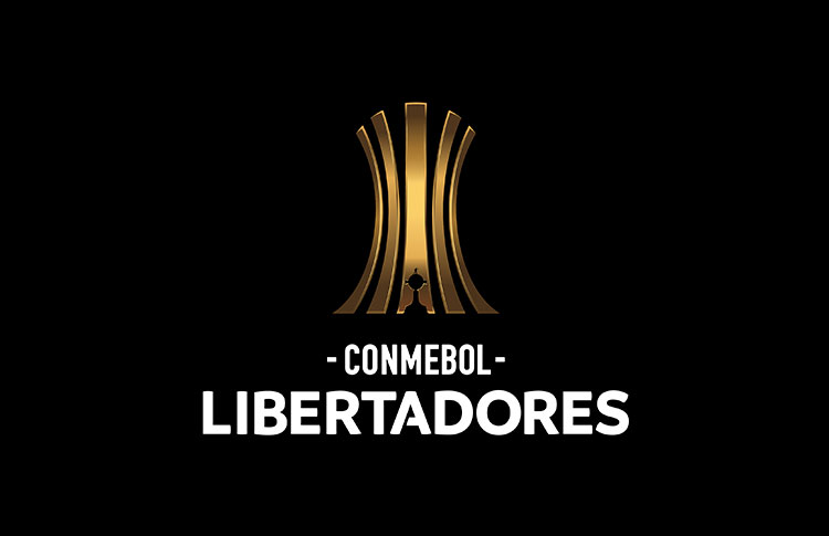 Copa Libertadores 2024: expectativas para venezolanos y colombianos