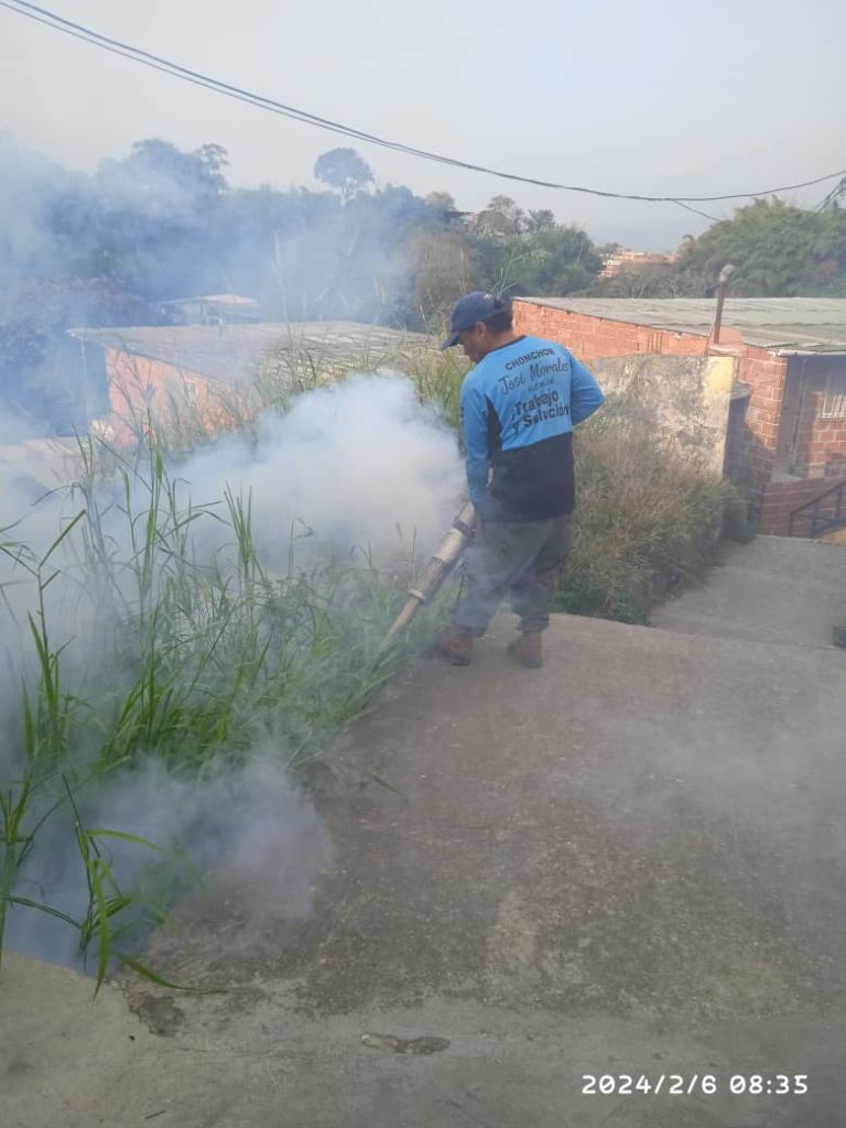 Carrizal inicia “guerra” contra el dengue