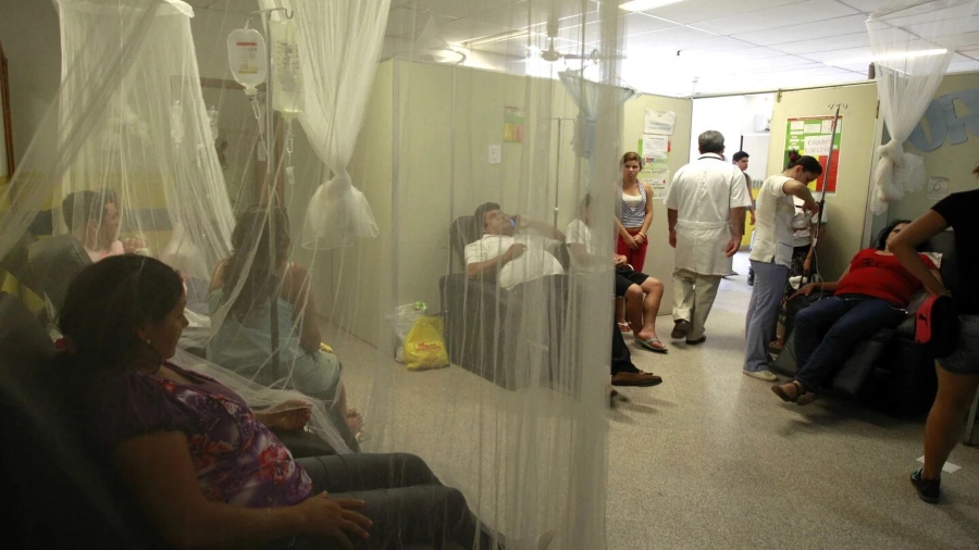 Paraguay suma 1.297 casos confirmados de dengue en las últimas tres semanas