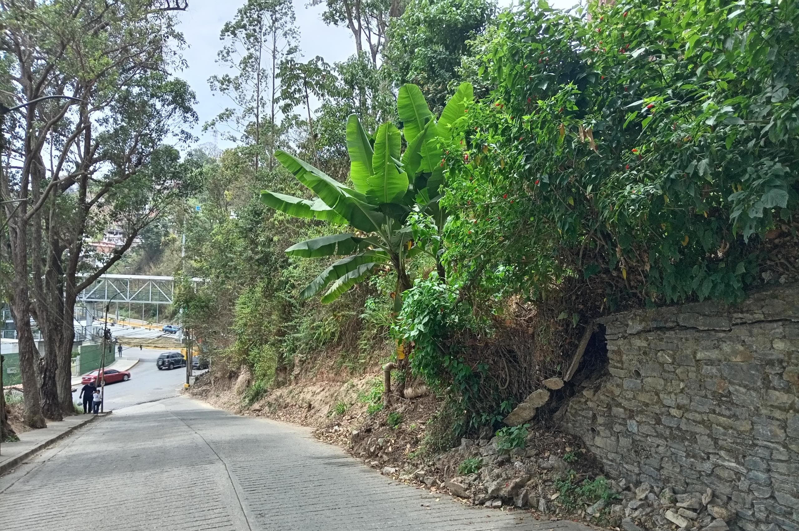Deslizamiento de tierra alerta a familias de Colinas de Carrizal