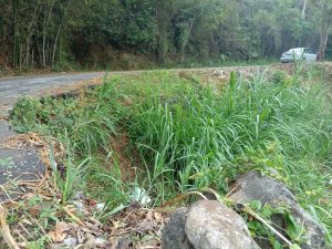 Falla-de-Borde-Los-Montes-erdes-II