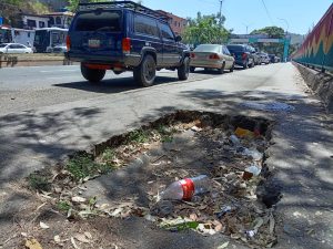 Tanquilla-av-Bicenetaria