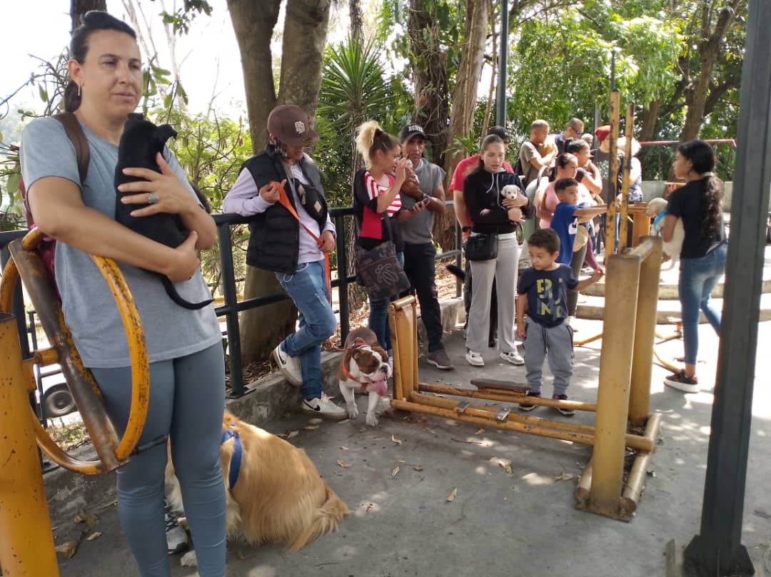 Animalistas atenderán a mascotas en Los Teques