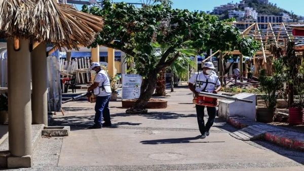 OPS advierte sobre aumento de casos de dengue en América Latina