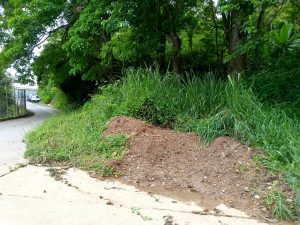 WhatsApp-Image-2024-06-24-at-5.50.30-PM