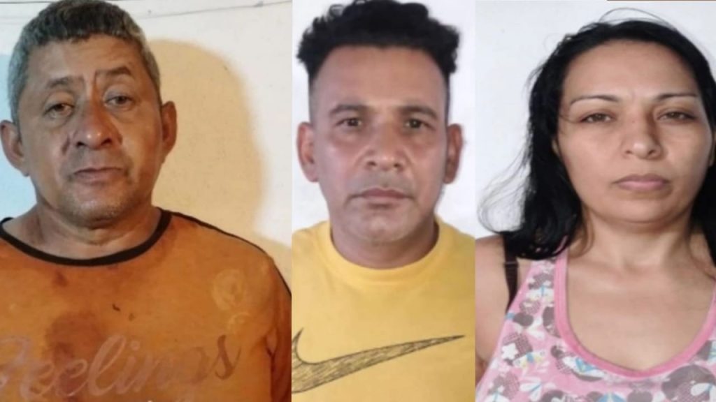 Tres falsos PNB se dedicaban a secuestrar