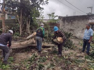 edb401ab-56ea-43cc-bcc4-71f8e724a25e-1