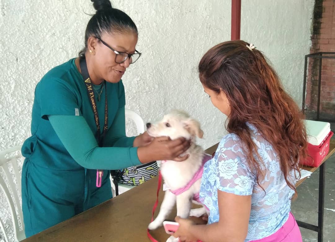 Atención veterinaria llegará a Residencias Lagunetica