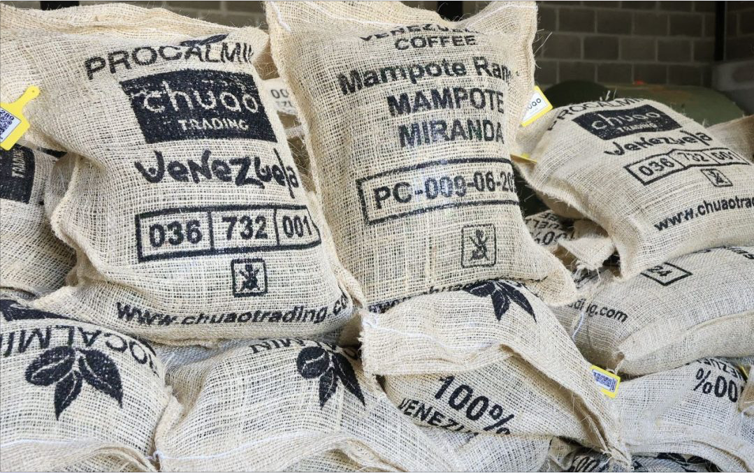 Café cultivado en Guaicaipuro es exportado a Japón