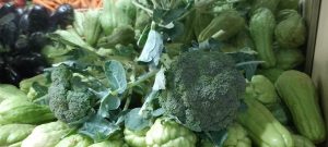 b1fe9d0d-6148-4d21-89dd-04ed7c8b3fbc