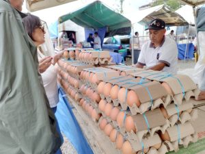 el medio carton de huevo
