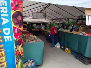 feria de hortalizas