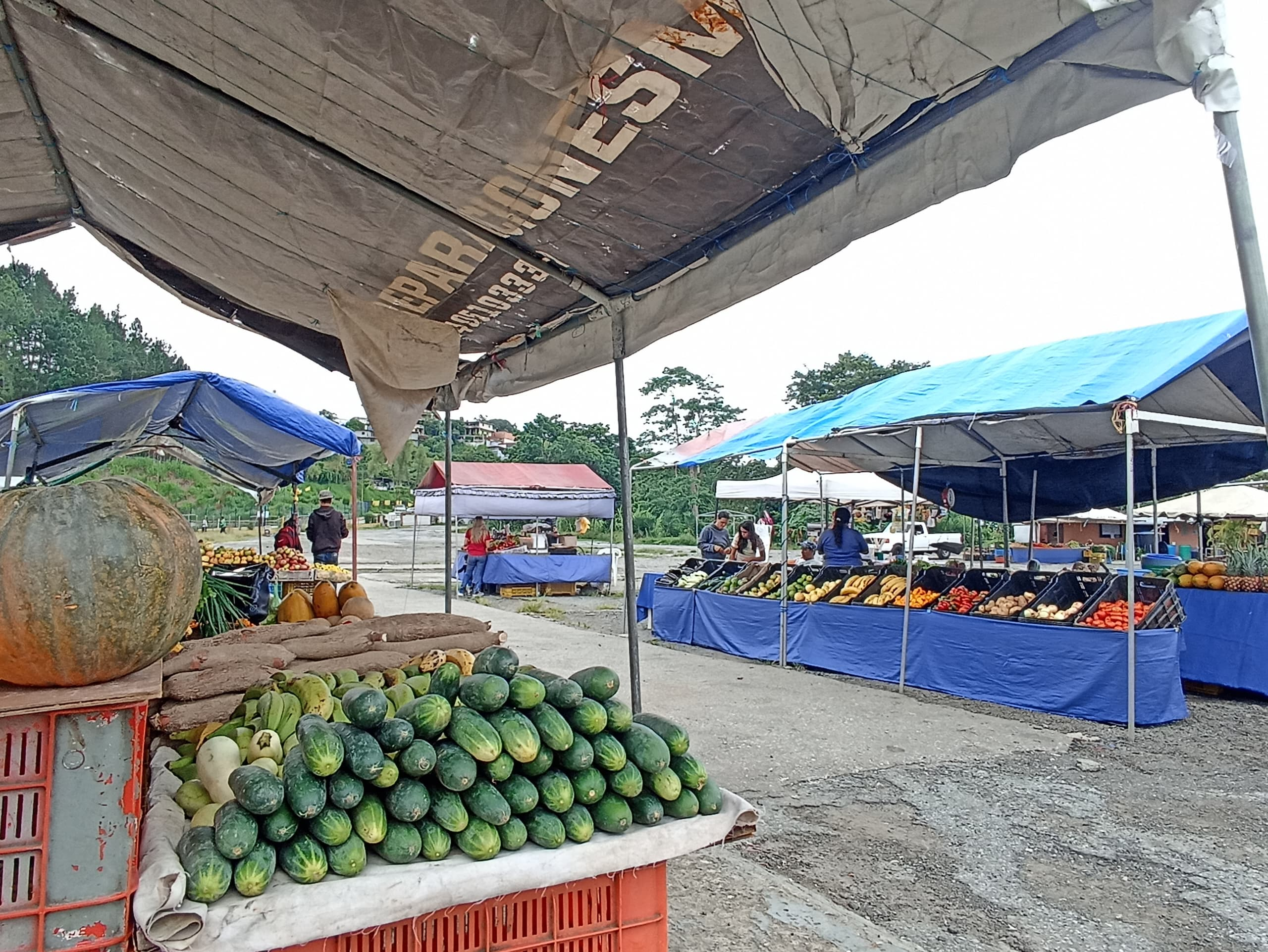 Los viernes son flojos en mercado de la Miranda