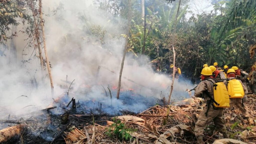 Bolivia declara «desastre nacional» por la magnitud de los incendios