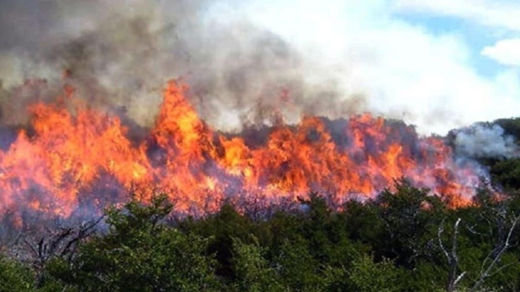 Sube a 15 la cifra de fallecidos por los incendios en la Amazonía