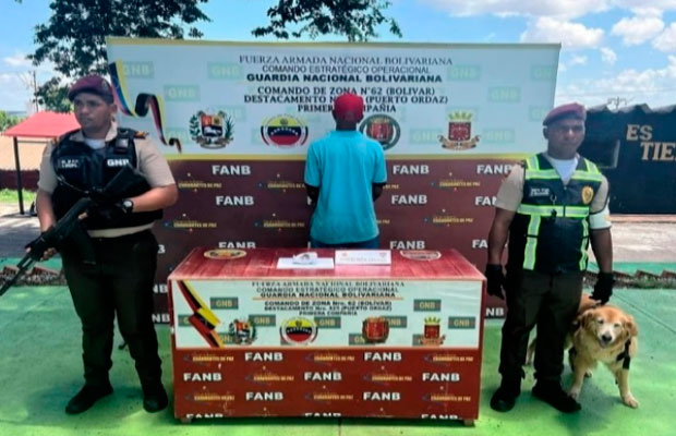 Detenido por transportar droga oculta en un pescado