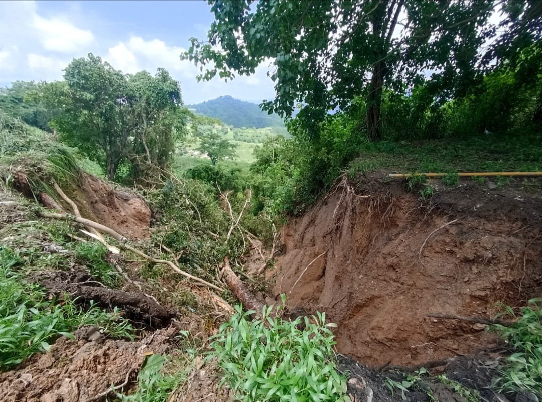 Caída de dos árboles destruyen tubería de agua en el Eje Sur