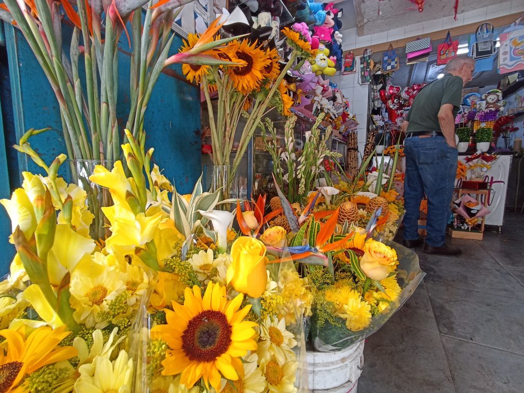 Los Teques se llena de flores amarillas