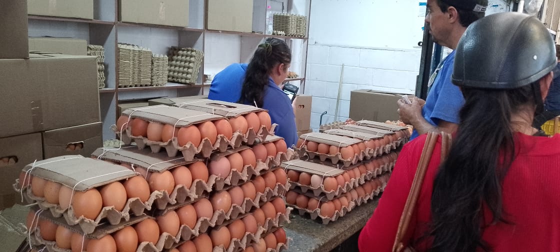 Sin freno precio del cartón de huevos