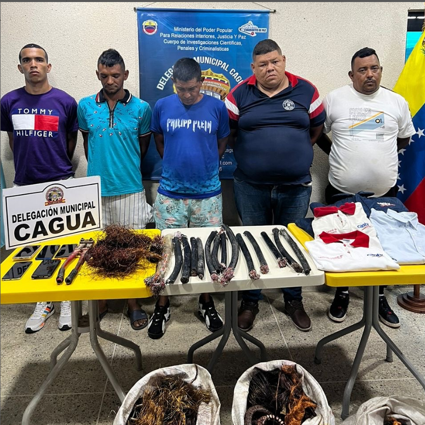 Apresados cinco delincuentes por hurto de material estratégico