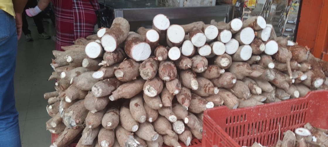Yuca a precio de regalo