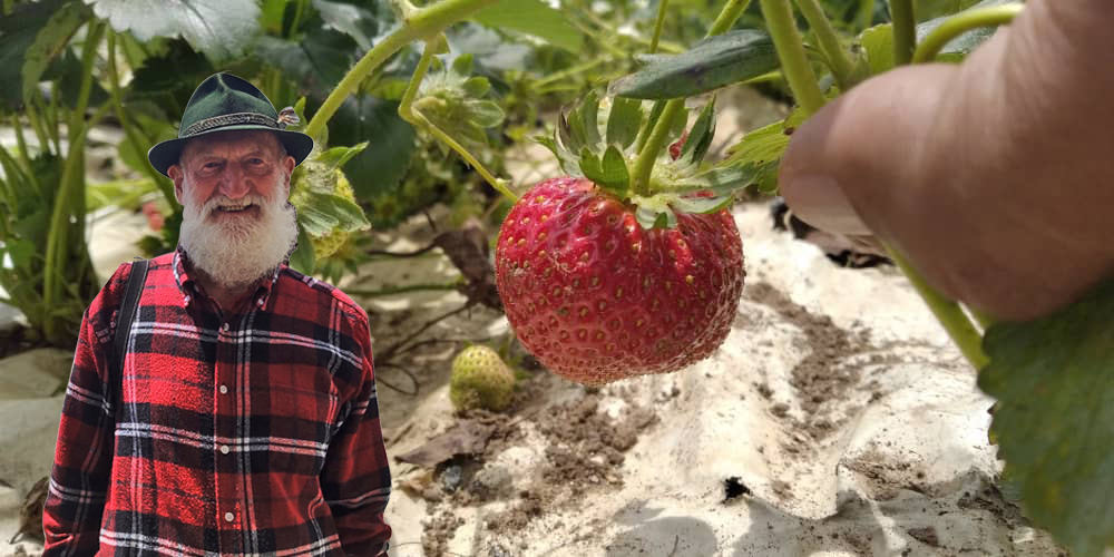 Producción en El Jarillo disminuyó 90% en 15 años