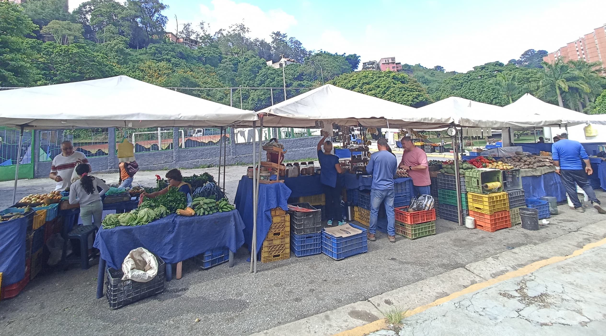 Mercaditos de Carrizal tendrán nuevas reglas