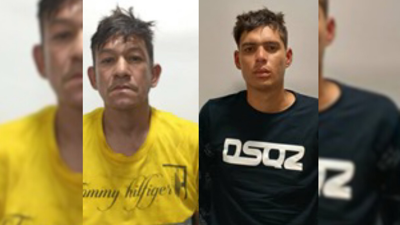 Detienen a delincuentes que robaban en parcelas