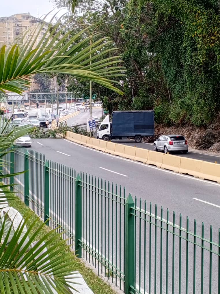 Paso restringido en la Panamericana por árbol caído