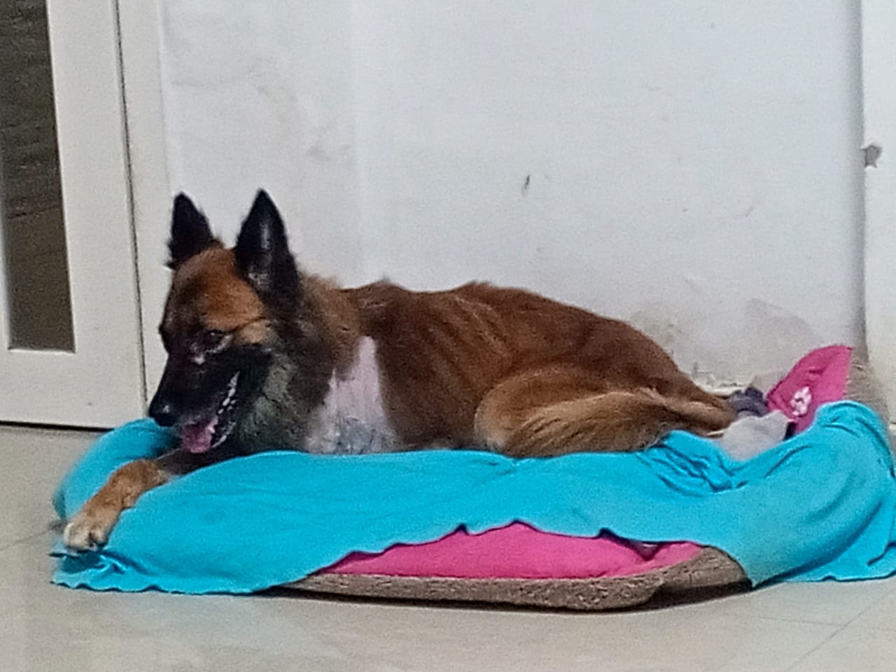 Astro se aferra a la vida